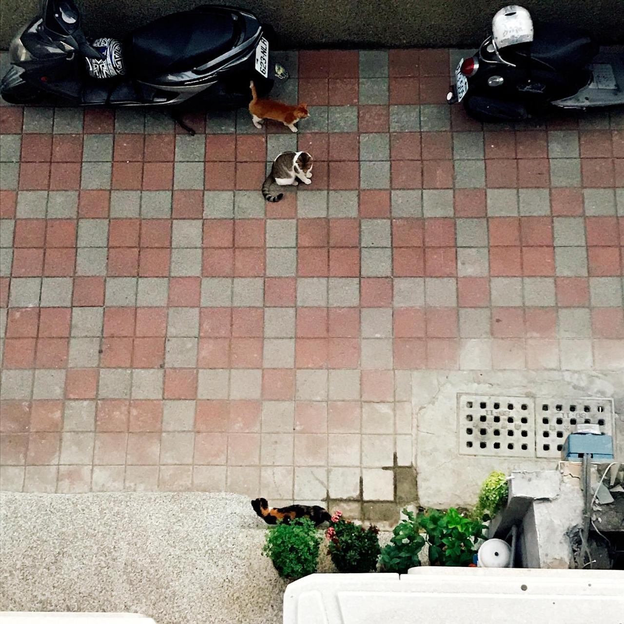 A Fat At Home Tainan Eksteriør billede